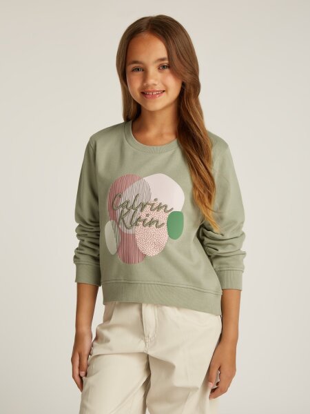 MULTI C GRAPHIC CN SWEATSHIRT