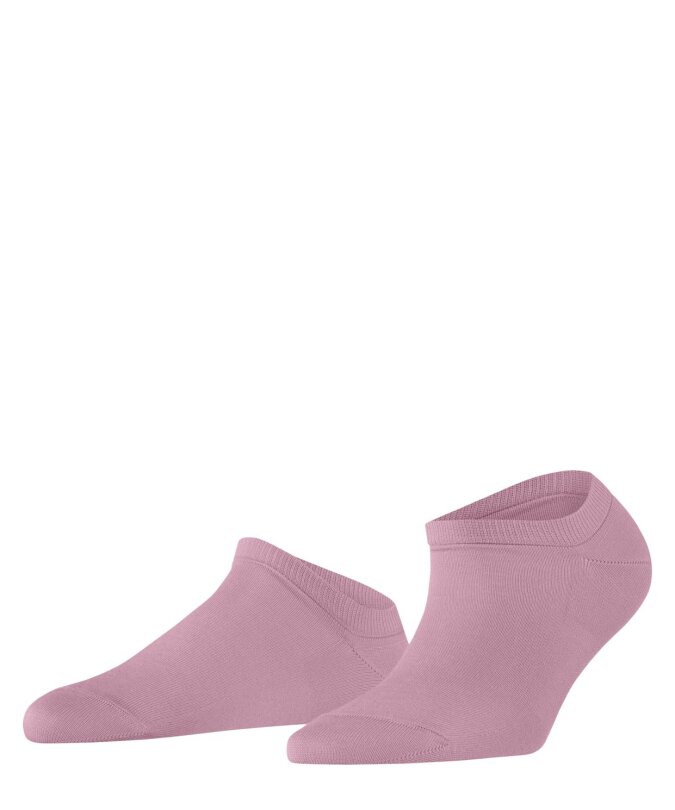 8493 powder pink