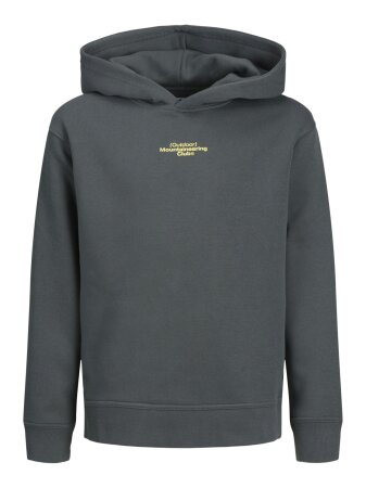 JCOALPHA MOUNTAIN PRINT SWEAT HOOD