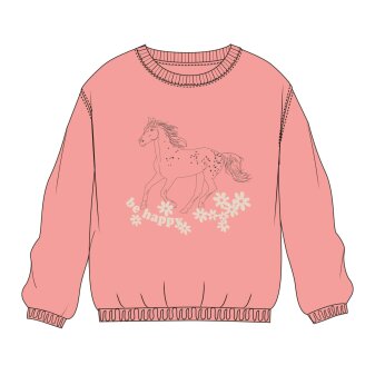 Md.-Sweatshirt